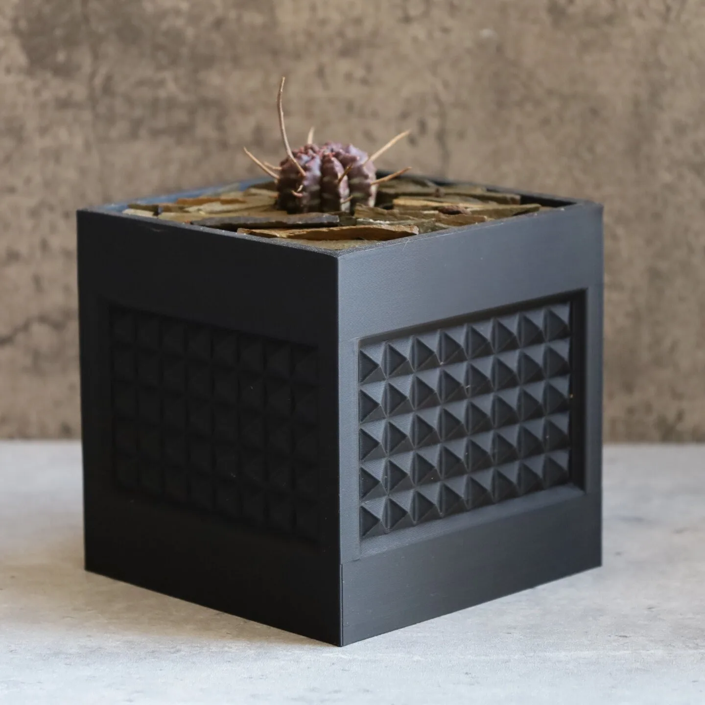 Breathable Planter for Rare Cacti Collection | Fast-Draining Pot for Astrophytum, Ariocarpus, Agave & Caudex Plants