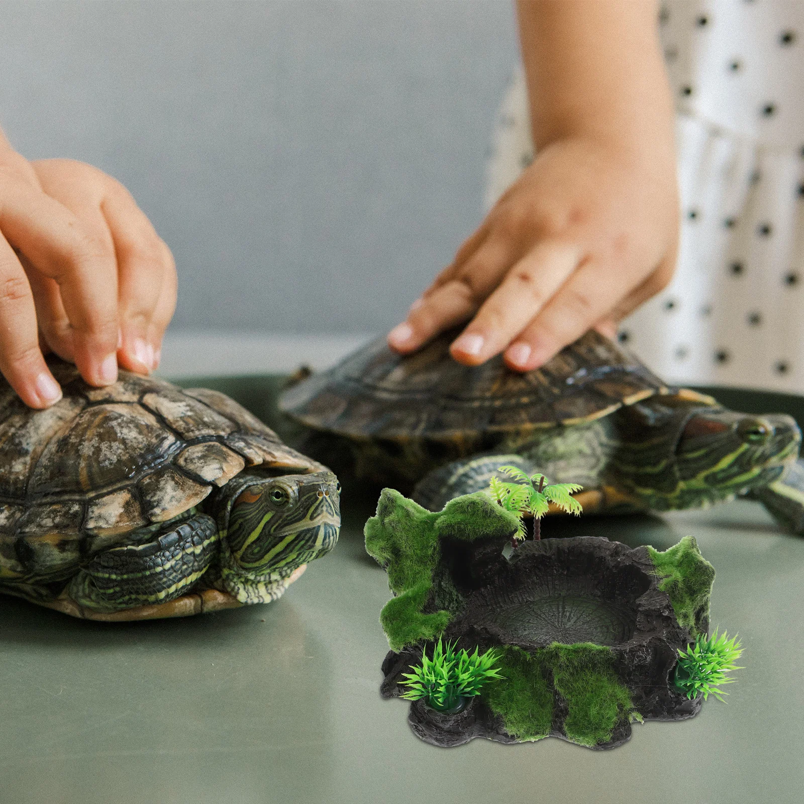 

Wear-Resistant Decorative Reptile Feeding Bowl Natural Water Dish Premium Resin Home Accessory