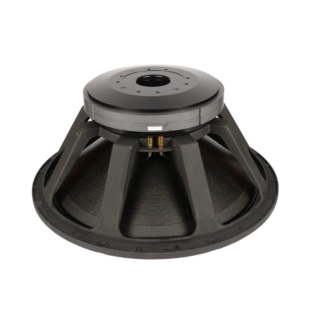 High Performance 24 Inch Subwoofer Speaker With 6'' VC, Double Magnet PA Speakers For Outdoor Use