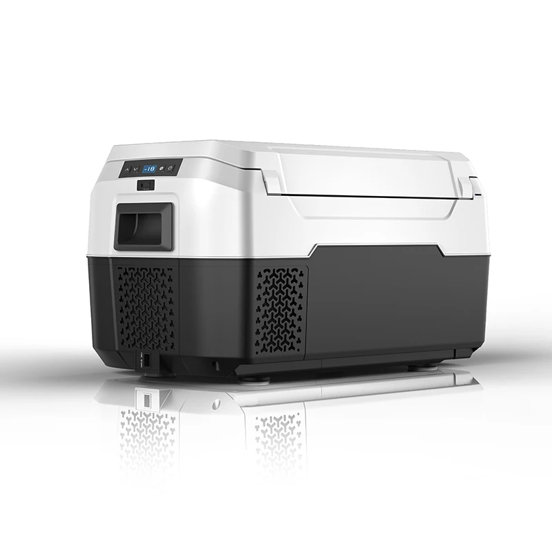 

WAYCOOL AXR20 20L 12V/24V/AC100~240V Certificated Single Zone Single Control Car Fridges for Fishing