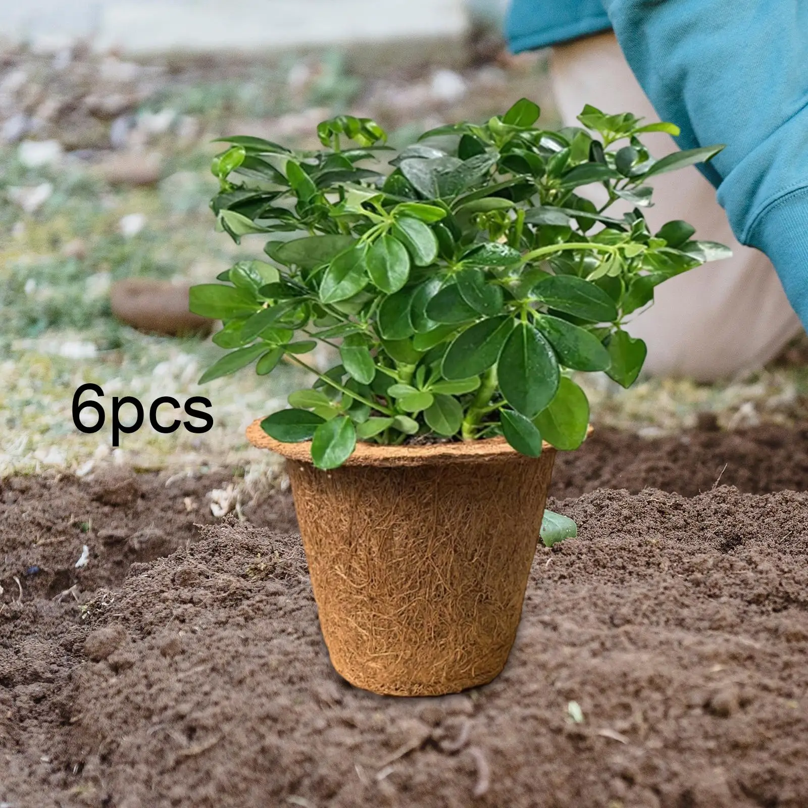 Garden Planter Flower Pots Coir Fiber Container with Drain Holes for Indoor Outdoor Planting and Decoration