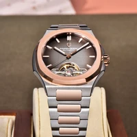 PAGANI DESIGN 2026 Men's Watch Skeleton Luxury Gold Automatic Watch For Men New Stainless Steel Business Mechanical Wristwatch photo 5
