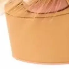 2026 Camel Furry Platform High Heel Sandals Open Toe Ankle Wrap Lace Up Block Heel Nightclub Party Exotic Dance Fashion Sandals