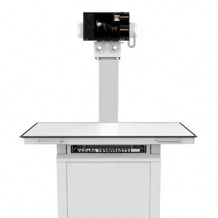 2026 Pet Clinic Hospital Equipment Veterinary X-ray System DR 20KW32KW 400ma Medical Imaging Machine Veterinary X-ray Machine