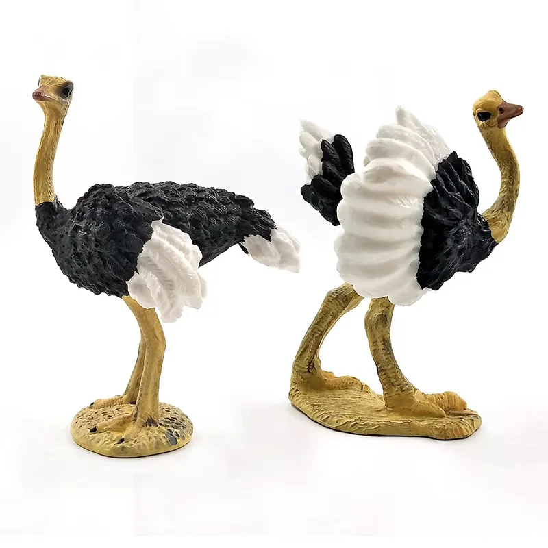 Simulation Ostrich Bird Animal model figurine home decor miniature fairy garden decoration accessories modern figure statue toys
