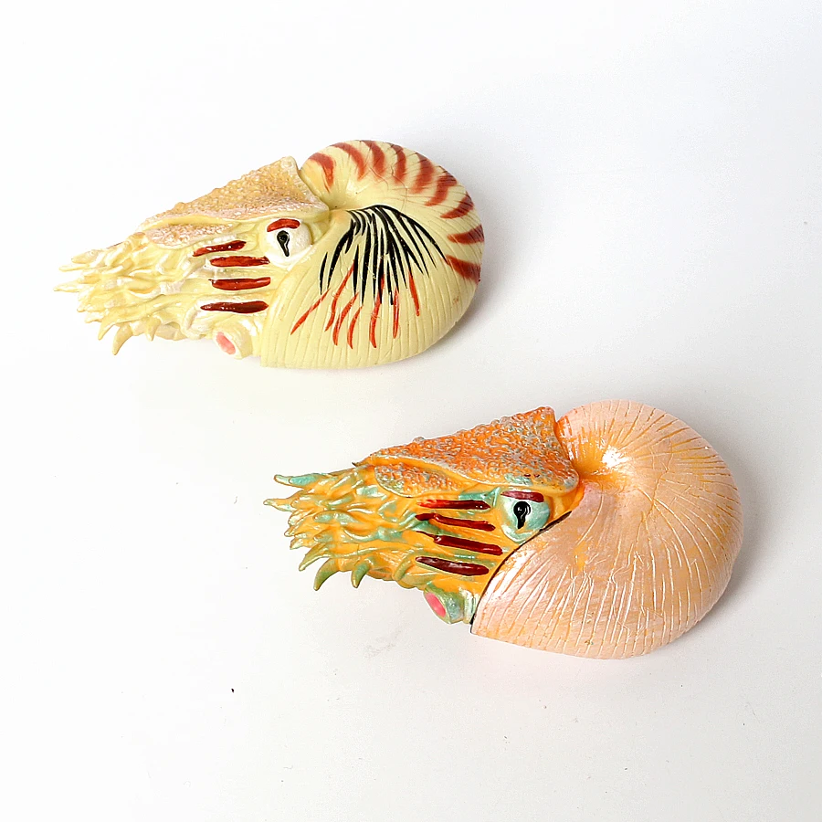 Plastic Prehistoric Sea Creature Ancient Cambrian Ocean Animal Nautilus,Trilobita,Baculite,Opabinia,Pikaia Marine Figurines Toys