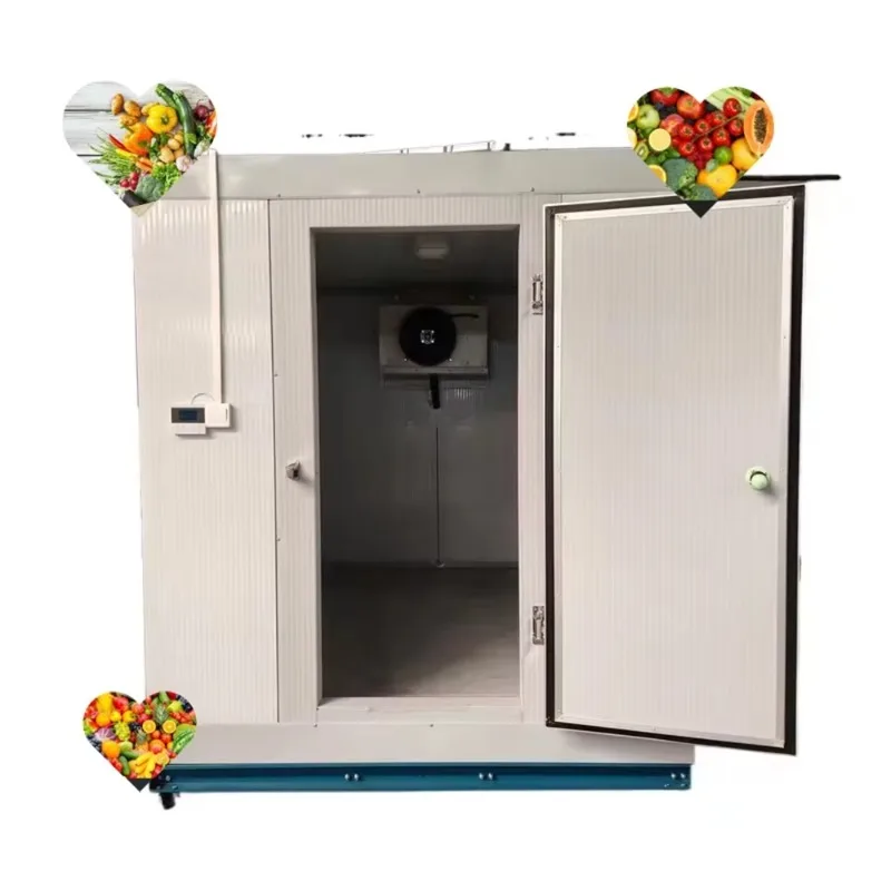 

Customized Cold Room Refrigeration Camera for Sea Food Cold Chamber for Ice Cream Freezer Room