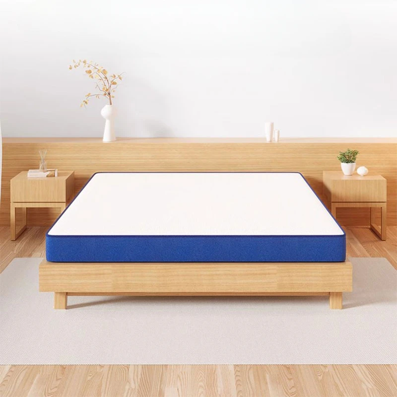 

Modern Soft Mattress King Sized Baby Organizer Twin Bedroom Mattress Sleep Living Room Colchones De Cama Bedroom Furniture