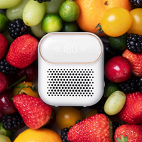 Ozone Generator Air Purifier Refrigerator Deodorizing Sterilizer purification Air Household Kitchen Keeping Fresh Rechargeable