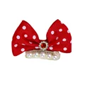 Hair Clip