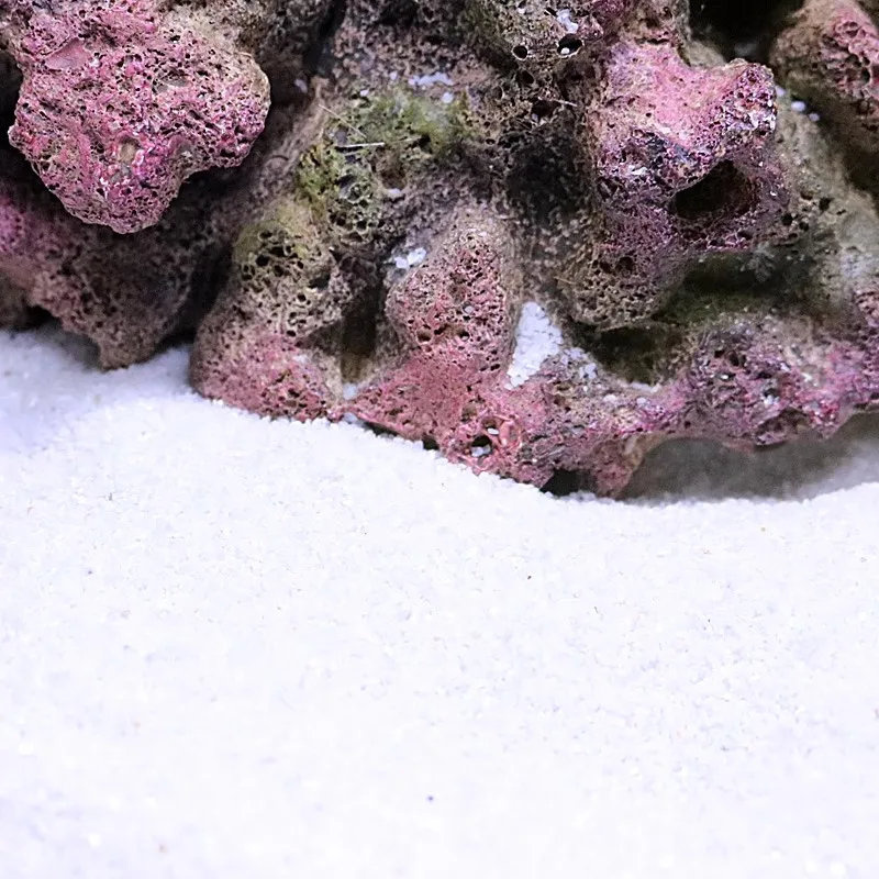 Aquarium Lacape San…