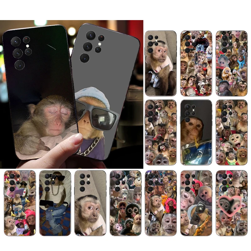 Cute Funny Monkey Phone Case For Samsung Galaxy A15 A35 A55 A52 A53 A54 A33 A34 A25 A05S A16 A14 A05 A51 A52S A71