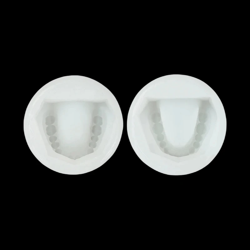 2Pcs Dental Silicone Plaster Model Mold Complete Cavity Block Mould Base Standard Full Teeth Dentistry Equipment