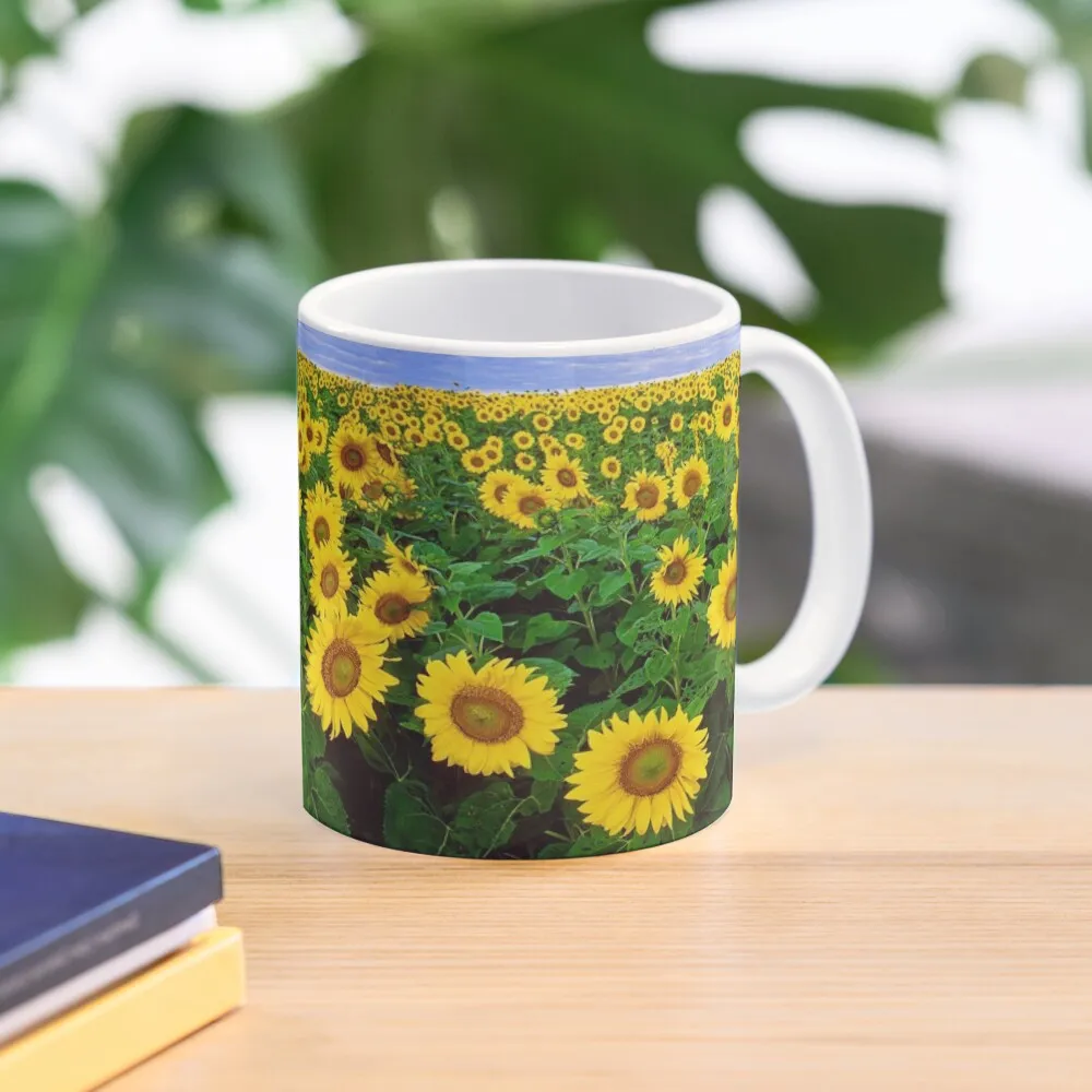 

Beautiful Sunflowers in the meadow under the blue sky. Cup of sunflowers. Coffee Mug