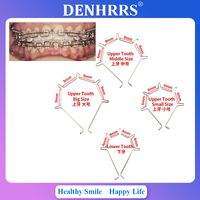 10Pcs/Pack Dental Orthodontic Five Curved Anterior Teeth Torque Spring Five Curved Tooth Torque Spring Small Middle Big