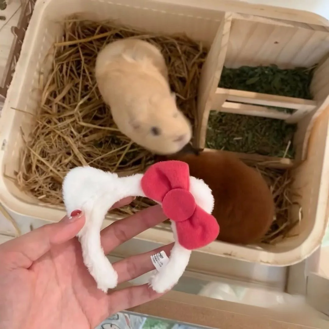 Simpatico ciondolo con fascia KT in peluche, ciondolo con borsa di nicchia, decorazione da appendere allo zaino, bambola, portachiavi