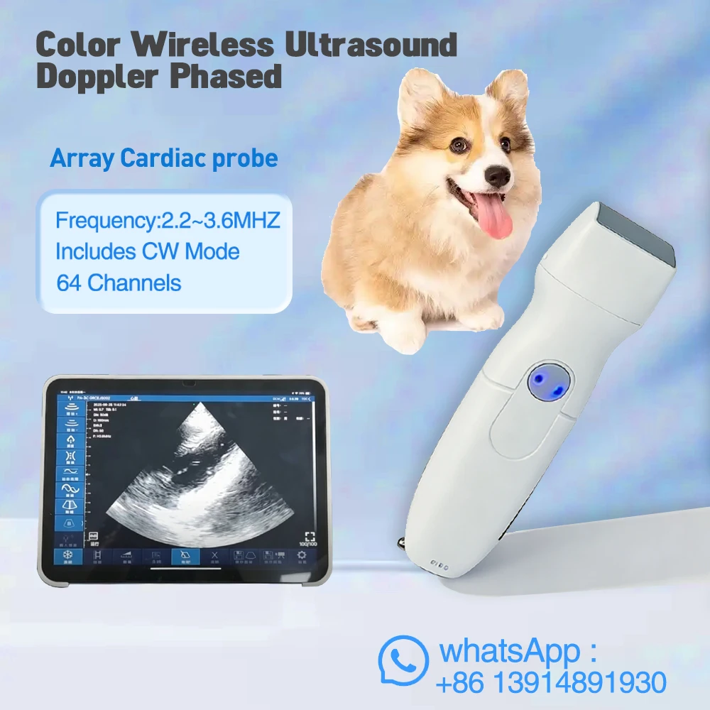 Color wireless Ultrasound Doppler Phased Array Cardiac probe Include CW mode Support iOS Android Windows pet use