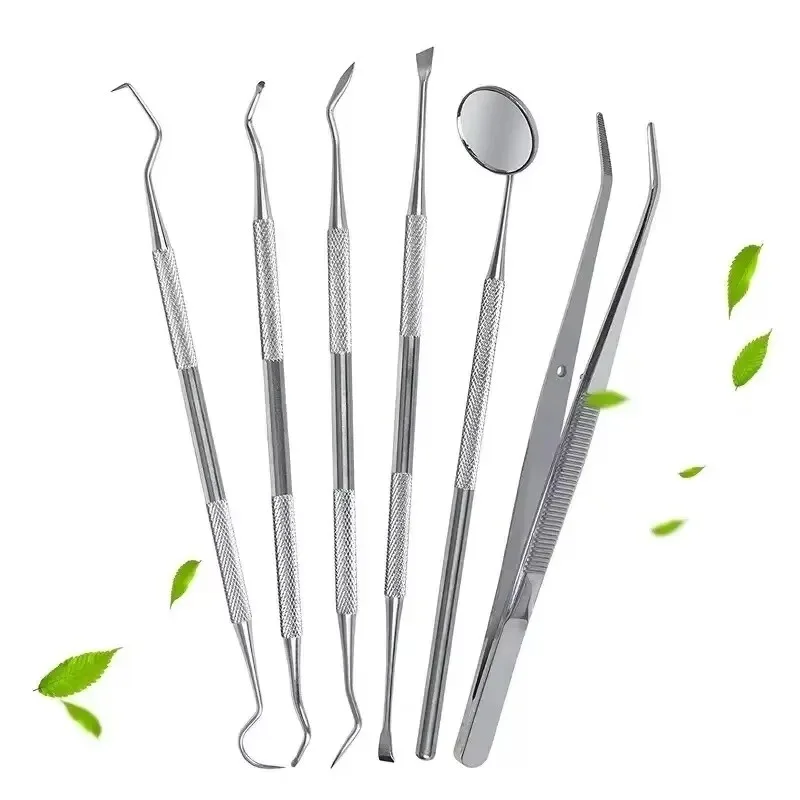

Stainless Steel Dentist Oral Tools Cleaning Flossing Tartar Removal Easy to Clean Not Easy to Break Dental Oral Mirror Care Kit