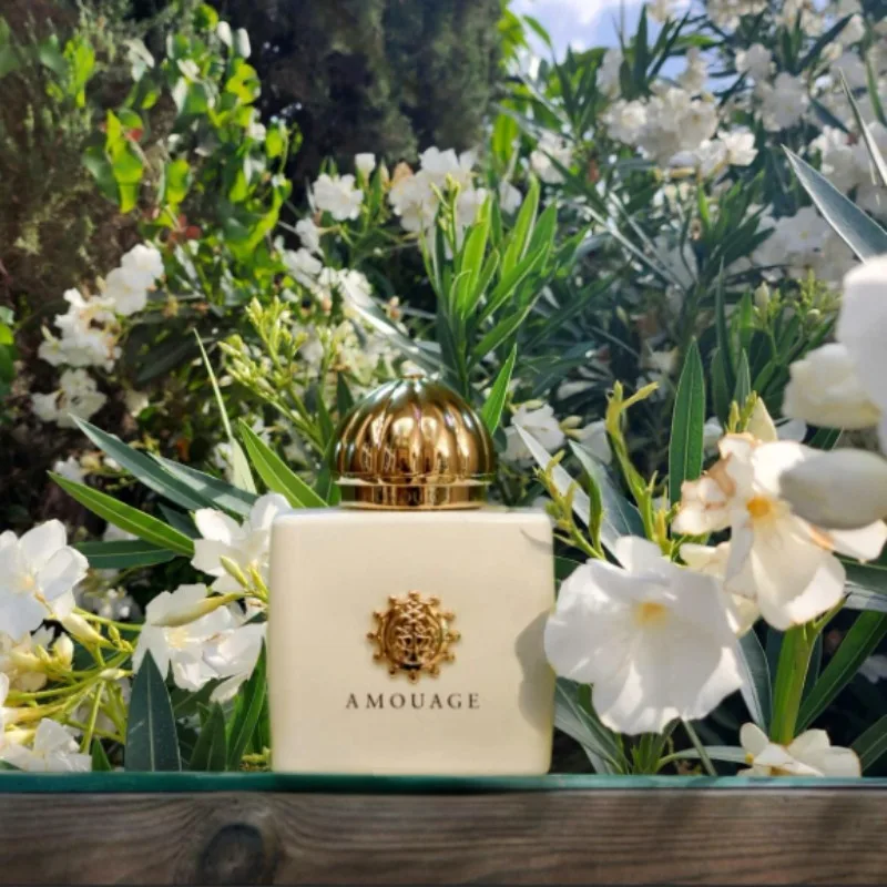 Thumbnail 4 - #64 Cheap Perfume & Cologne Worth Buying