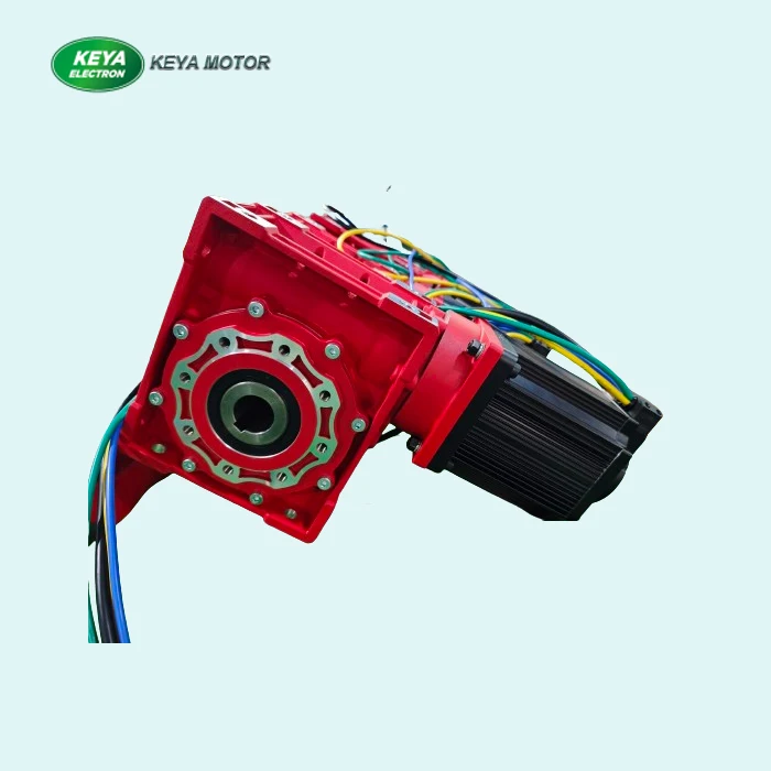 Servo motor BLDC de alto torque 24V 350W com redutor de engrenagem helicoidal RV50