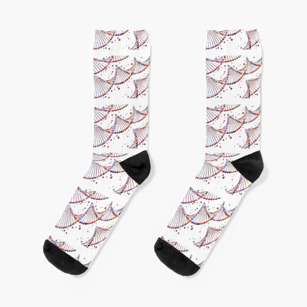 DNA molecule,watercolor DNA, DNA, DNA structure Socks Socks Cycling