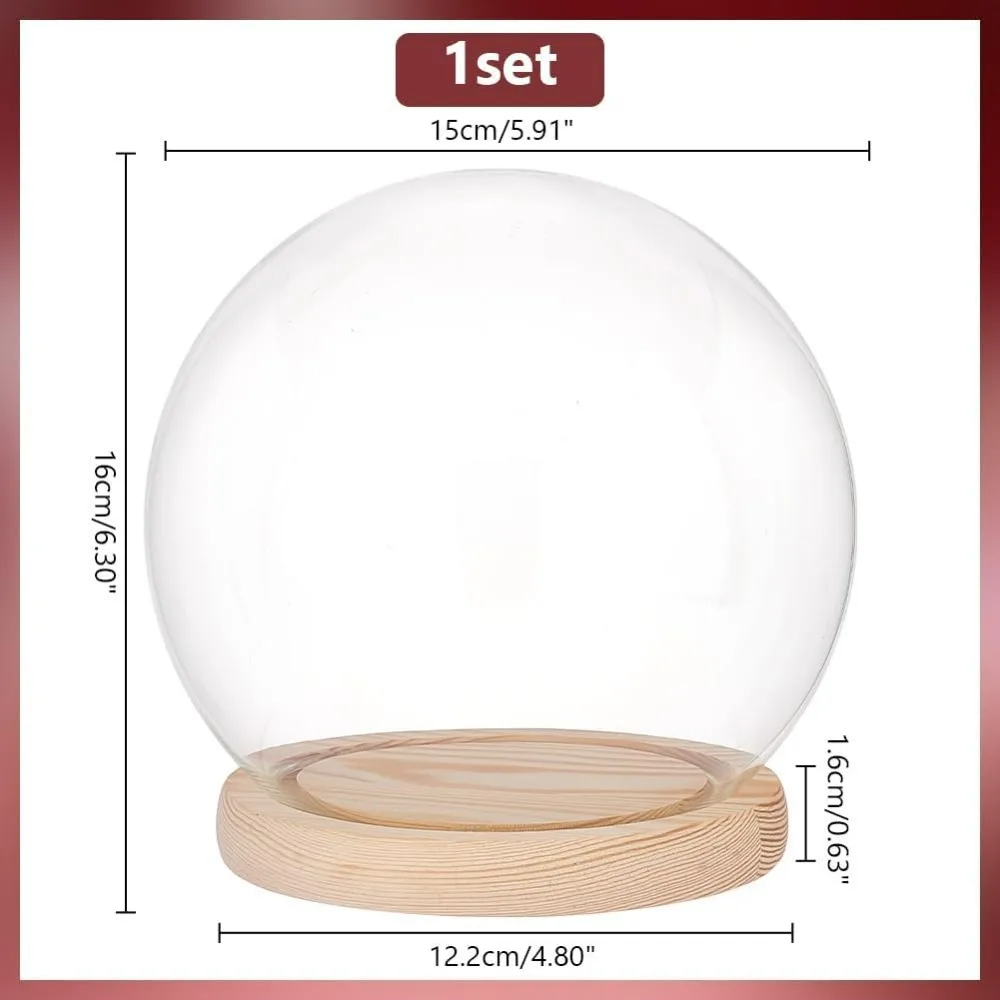 Cloche Glass Dome Glass Cloche Clear Globe Display Dome with Wood Base Decorative Glass Display Case for Plant Flower Stone