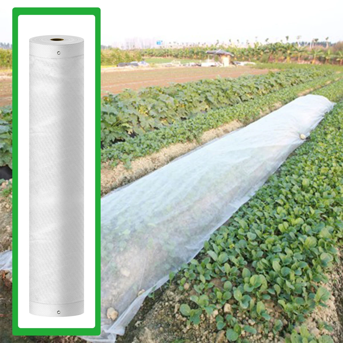 

2025Wholesale 30gsm Anti Frost Anti Freeze Breathable 1.6mx100m Agriculture Plant Cover for Vegetable Planting