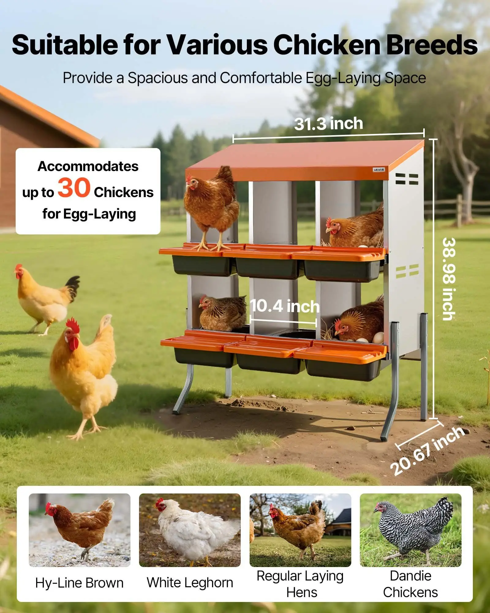 

Chicken Nesting Boxes, 6 Compartments, with Support Legs, Easy Egg Collection, Galvanized Steel and High-Strength Plastic, Roll