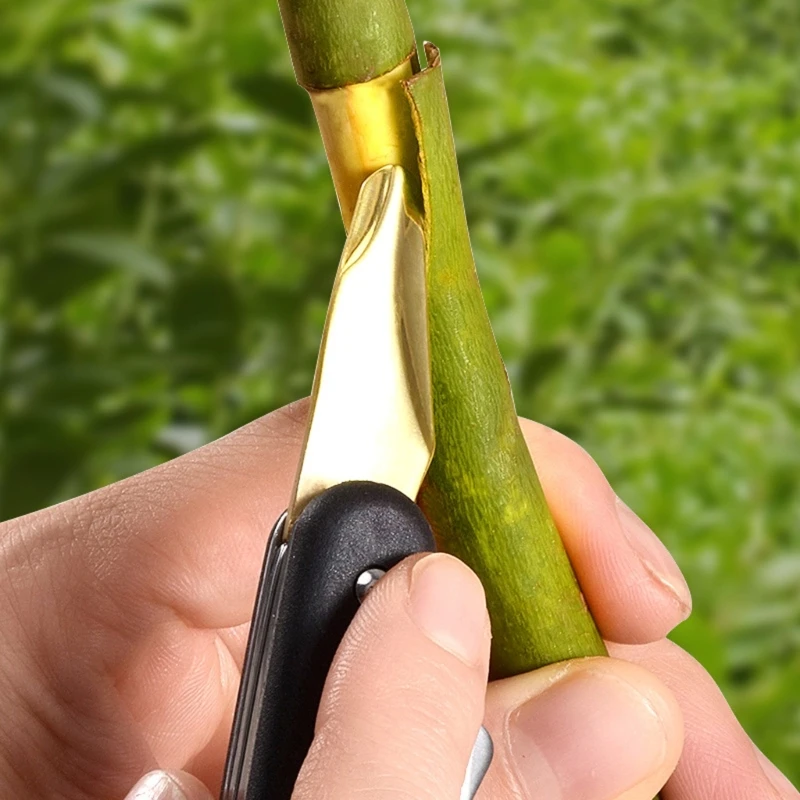 Professional Grafting Cutter Ergonomic Grip Pruning Blade for Outdoor Garden Use
