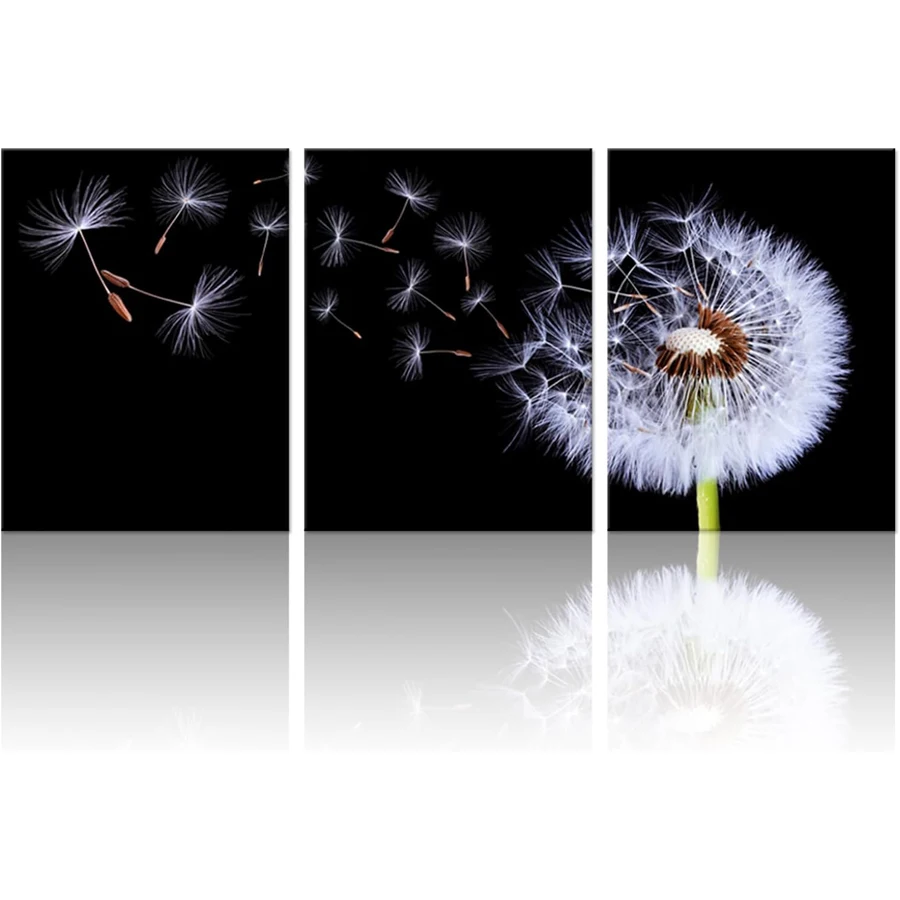 

3шт алмазной живописи одуванчика, настенное искусство, черно-белые элегантные картины с натуральными цветами одуванчика, поделки ручной работы для взрослых