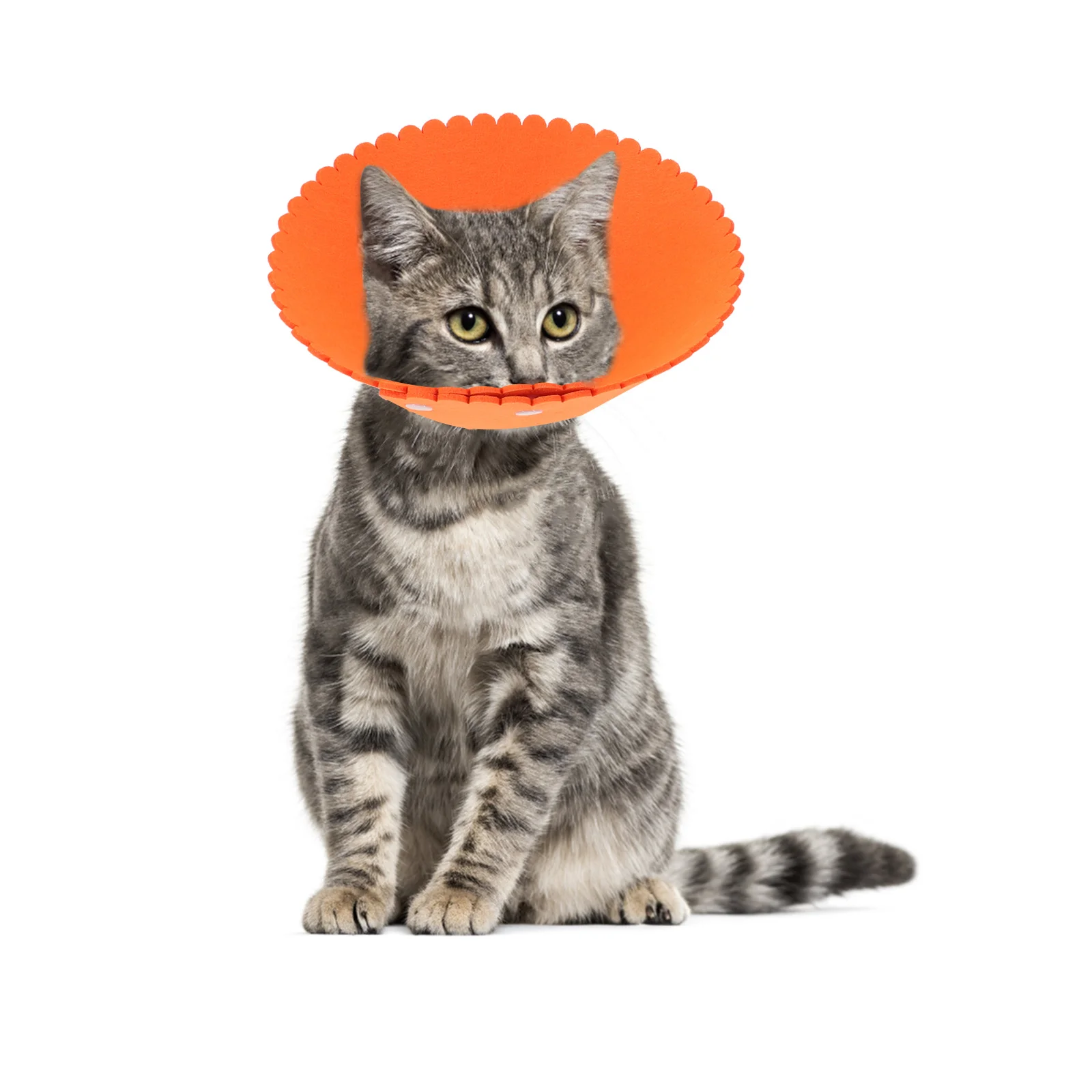 

7pcs Adjustable Cat Cone Collar Soft Pet Recovery Neck Protector Anti-Lick Post-Surgery Care Transparent Lightweight Plastic