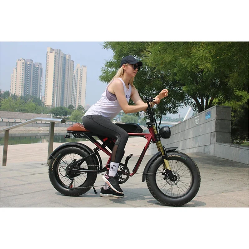 

20 Inch All Terrain Fat Tire 1000w 15Ah 50km/h Electric Cycle Adult Electric Bicycle E-bike