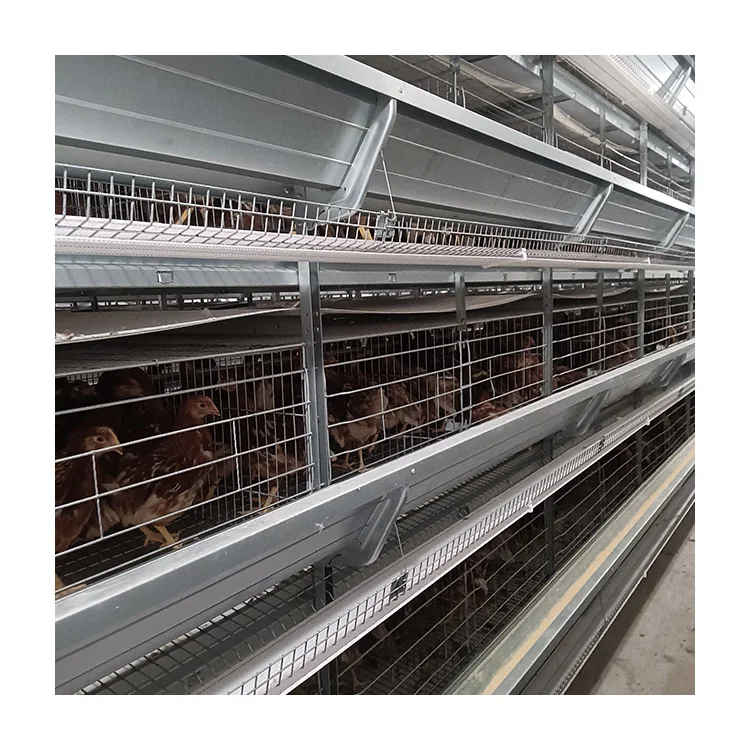 Factory Supply of High Quality Fully Automatic 3 Layer Cage Battery Cage Suitable for Chicken Farms