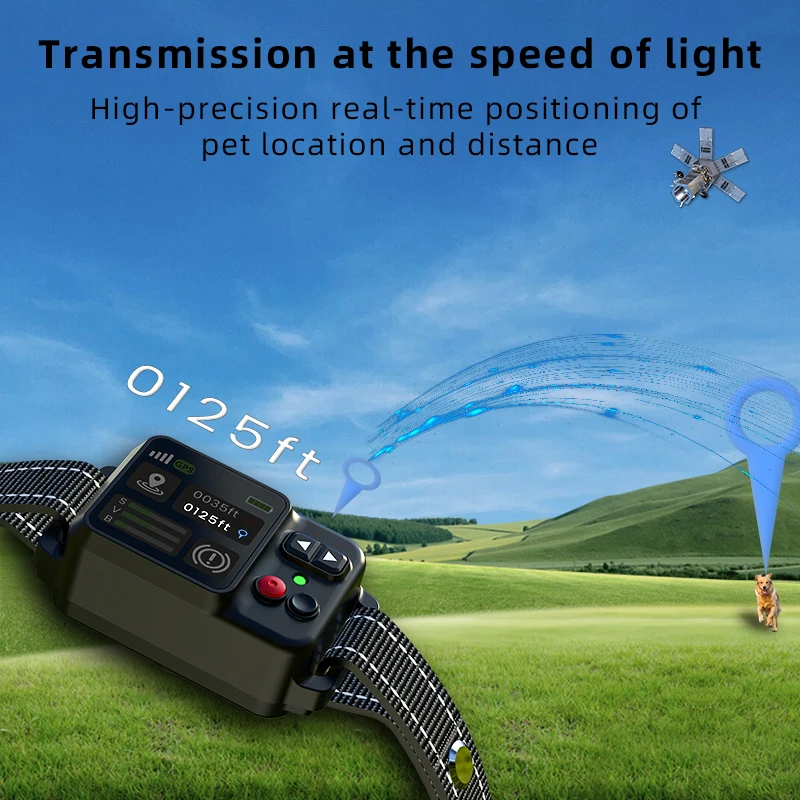 Thumbnail 2 - #70 Cheap Pet Collars Worth Buying