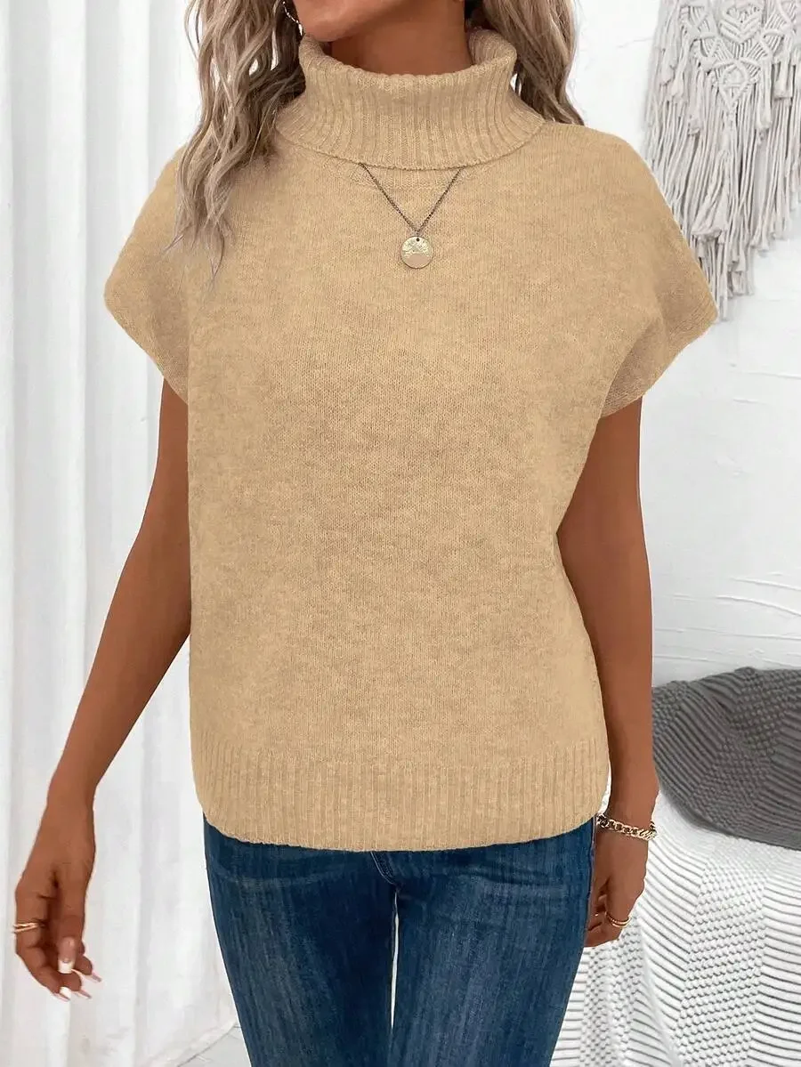 

Women Solid Color High Neck Batwing Sleeve Minimalist Casual Knit Sweater
