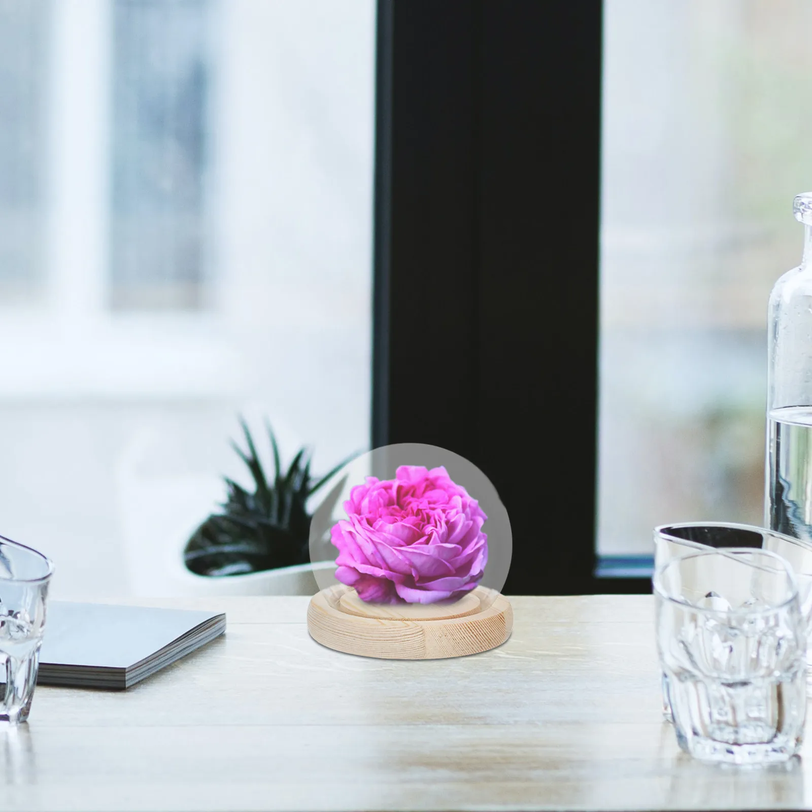 Clear Glass Display Dome with Wooden Base Delicate Miniature Cloche for Preserved Flowers Candles Decorative Tabletop Display