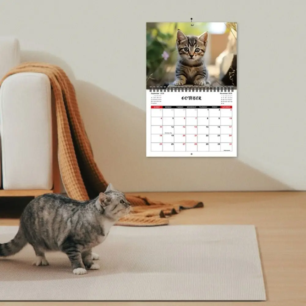 

Two Cats Design 2026 Calendar Hanging Loop Full-Year Planning Cat Calendar Durable Construction Kitten Wall Calendar Bedroom Use