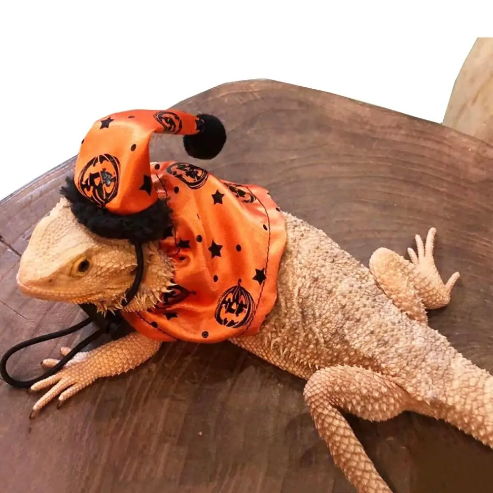 

Bearded Dragon Halloween Hat and Cloak Set Adjustable Lizard Holiday Costume