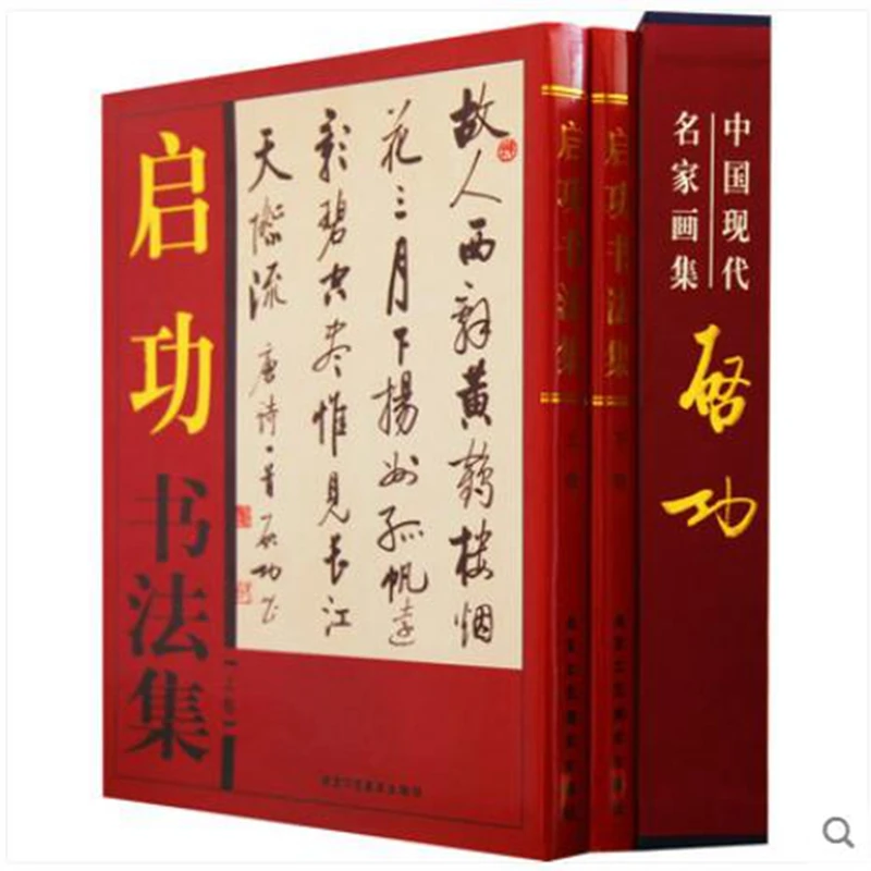 Chinese Calligraph Book Masters QI GONG Album Ancient Chinese Poetry Copybook