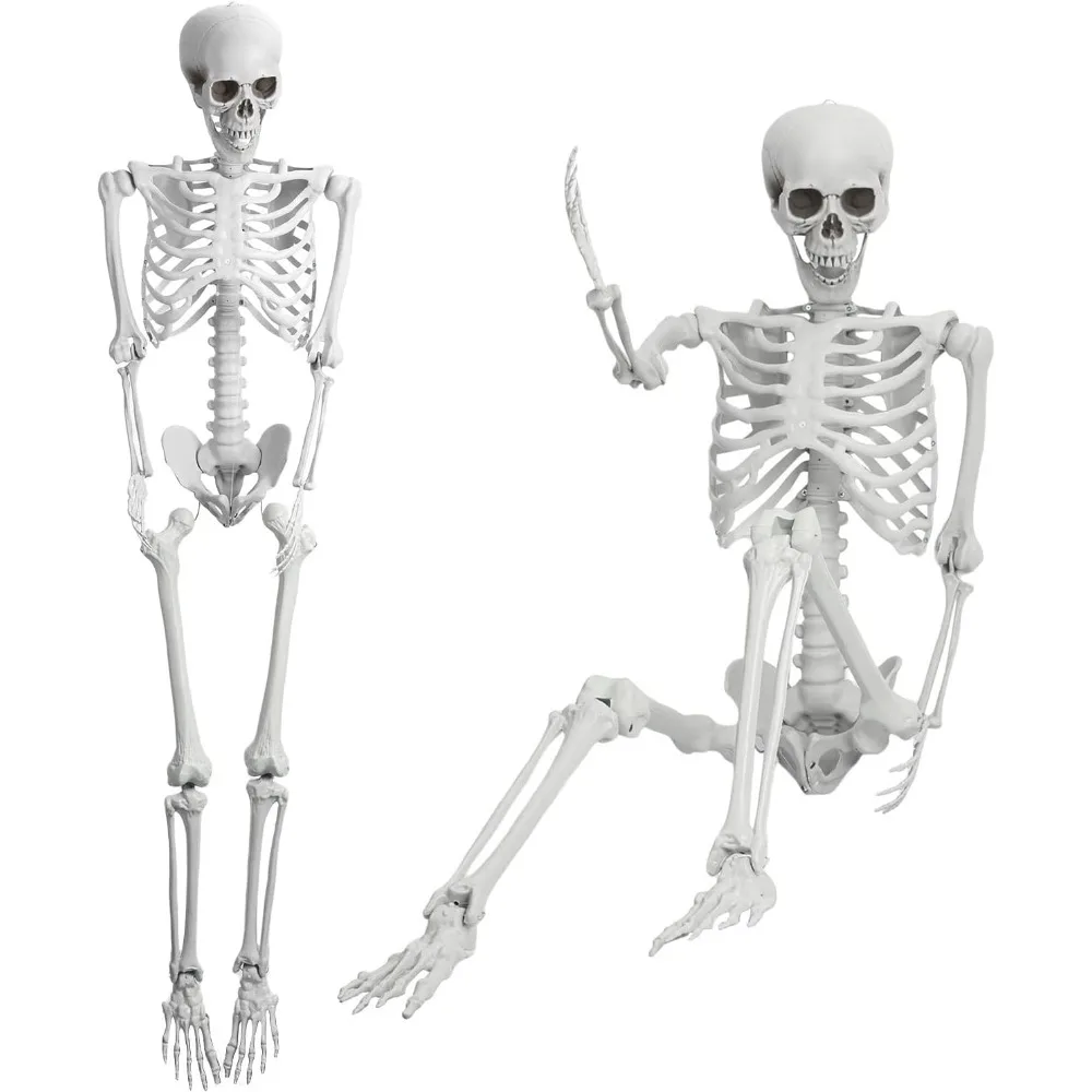 2Pcs 5.4Ft/170cm Posable Halloween Skeleton, Full Body Life Size Skeleton with Movable Joints