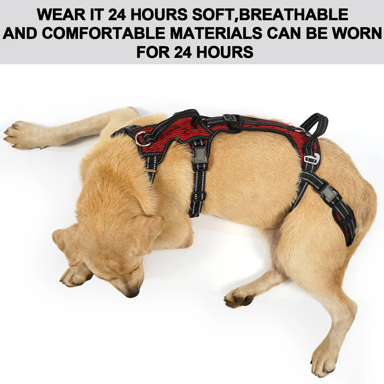 Thumbnail 2 - #62 Best Pet Carriers to Buy In 2026