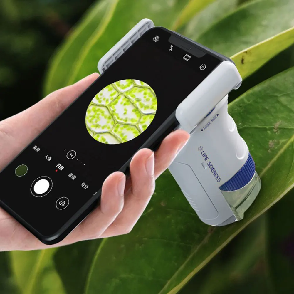 Mini Labsters with LED Light 60-120X Pocket Microscope Mini Handheld Microscope Battery Powered Boy Girl Exploring Gift for Kids