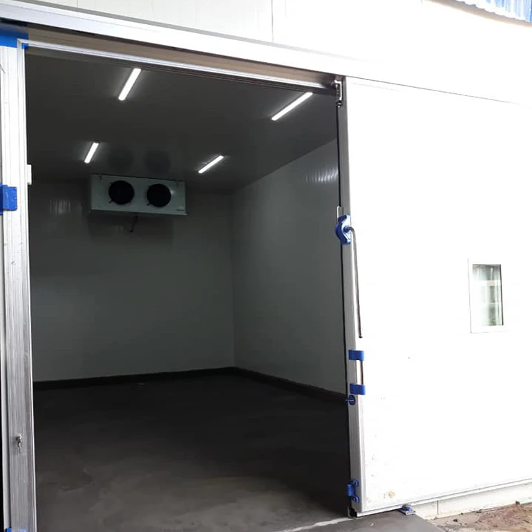 Soggiorni per celle frigorifere per frutta Prezzo Sala per congelatore Sala per celle frigorifere