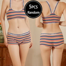 5 Pcs Women's Colorful Striped Cotton Safety Pants Seamless Comfortable Flat Corner Briefs Underpants