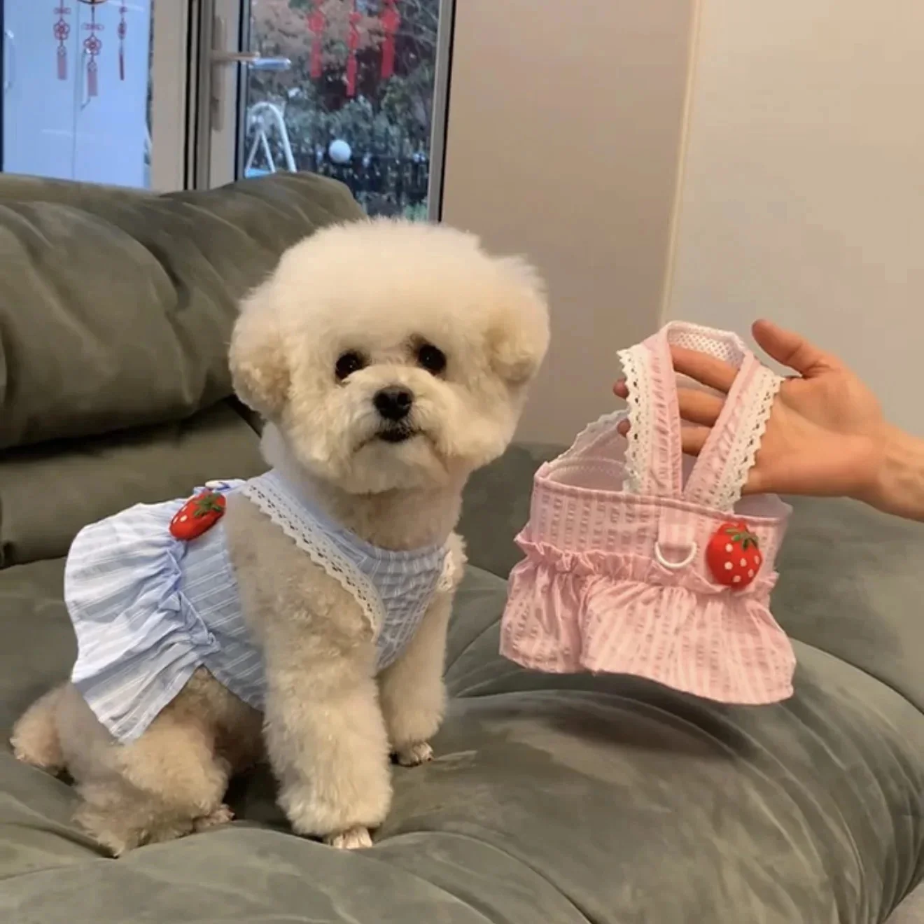 

New Summer Spring Dog Dress Princess Sle Thin Cute Pet Clothes For Small Dogs Bichon Puppy Leashable Skirt Dog Costume