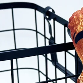 Pepita de pollo Meme, juguete de peluche para niños y adultos, juguete de peluche creativo y divertido, pepita de pollo, baqueta, almohada, regalo, decoración del hogar