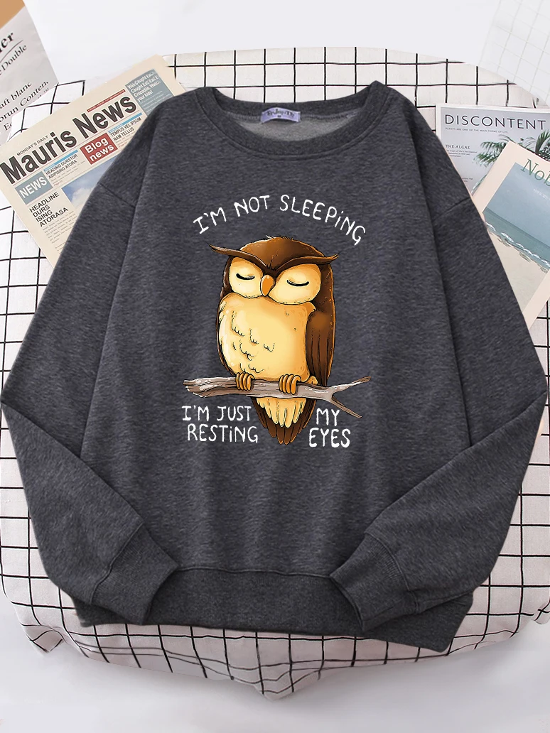 I\'m Just Resting My Eyes Owl Women Hoodie Harajuku Fleece Hoody Fashion Crewneck Sweatshirt vintage Oversize Female Streetwear