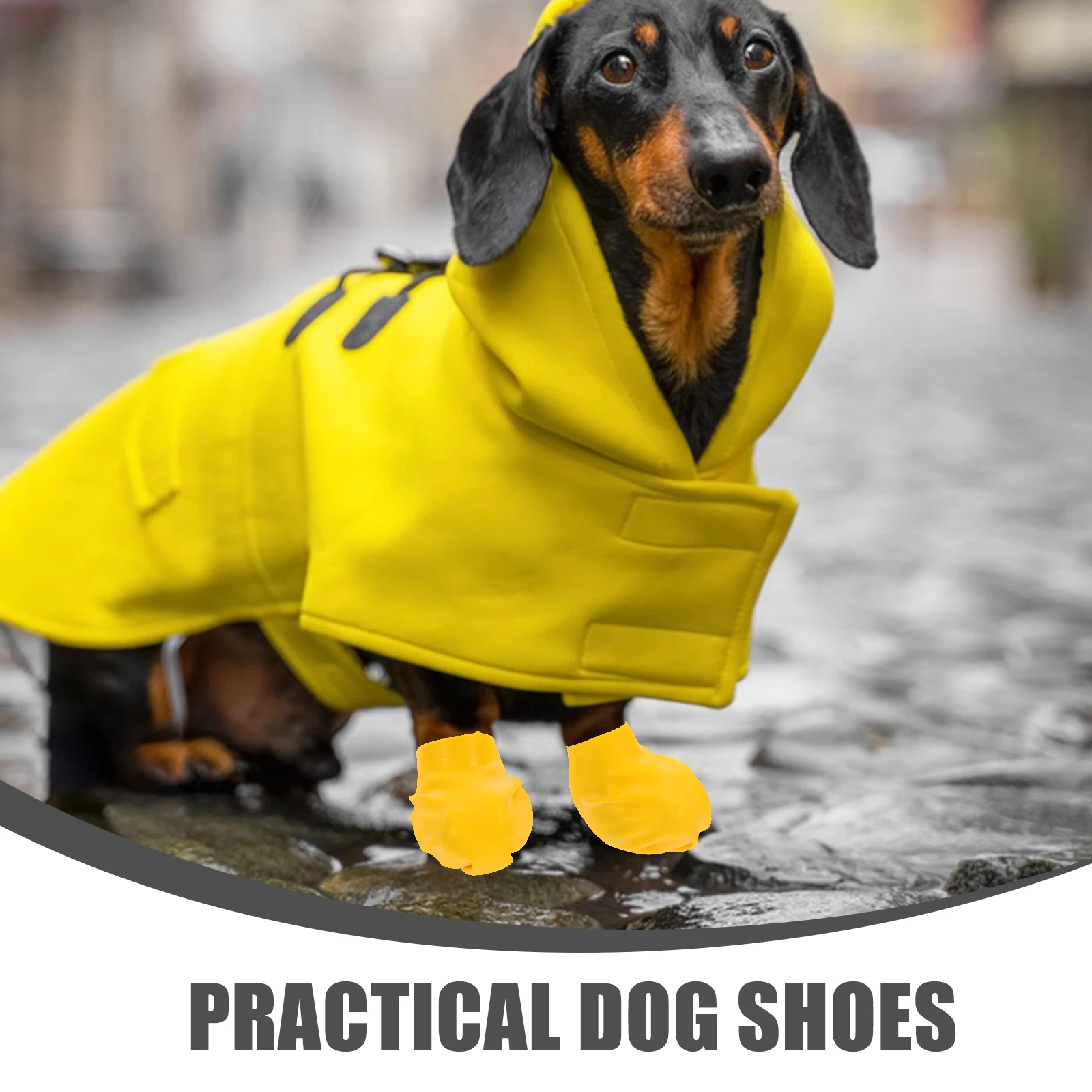 

4 Pcs Pet Waterproof Shoes Accessories Dog Boots for Dogs Choices Outdoor Footwear Paw Protectors