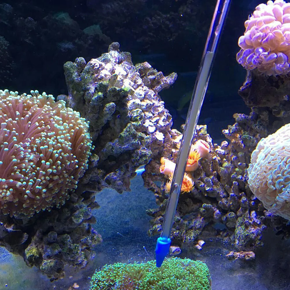 

2 Pcs Coral Feeder Tube for Aquarium Fish Tank Premium Material Durable Liquid Phytoplankton Reef Shrimp Aquatic Pets