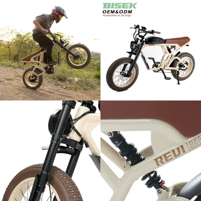 US in Stock Factory Direct 20 Inch 1000W Retro Tire Electric Dirt Bike Mountain Powerful Long Range OEM for Adult